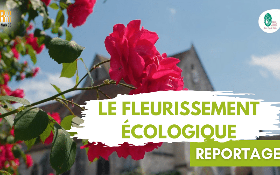 Le fleurissement écologique